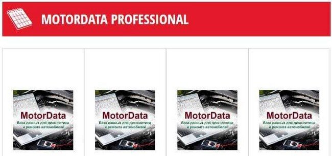 Motordata Professional